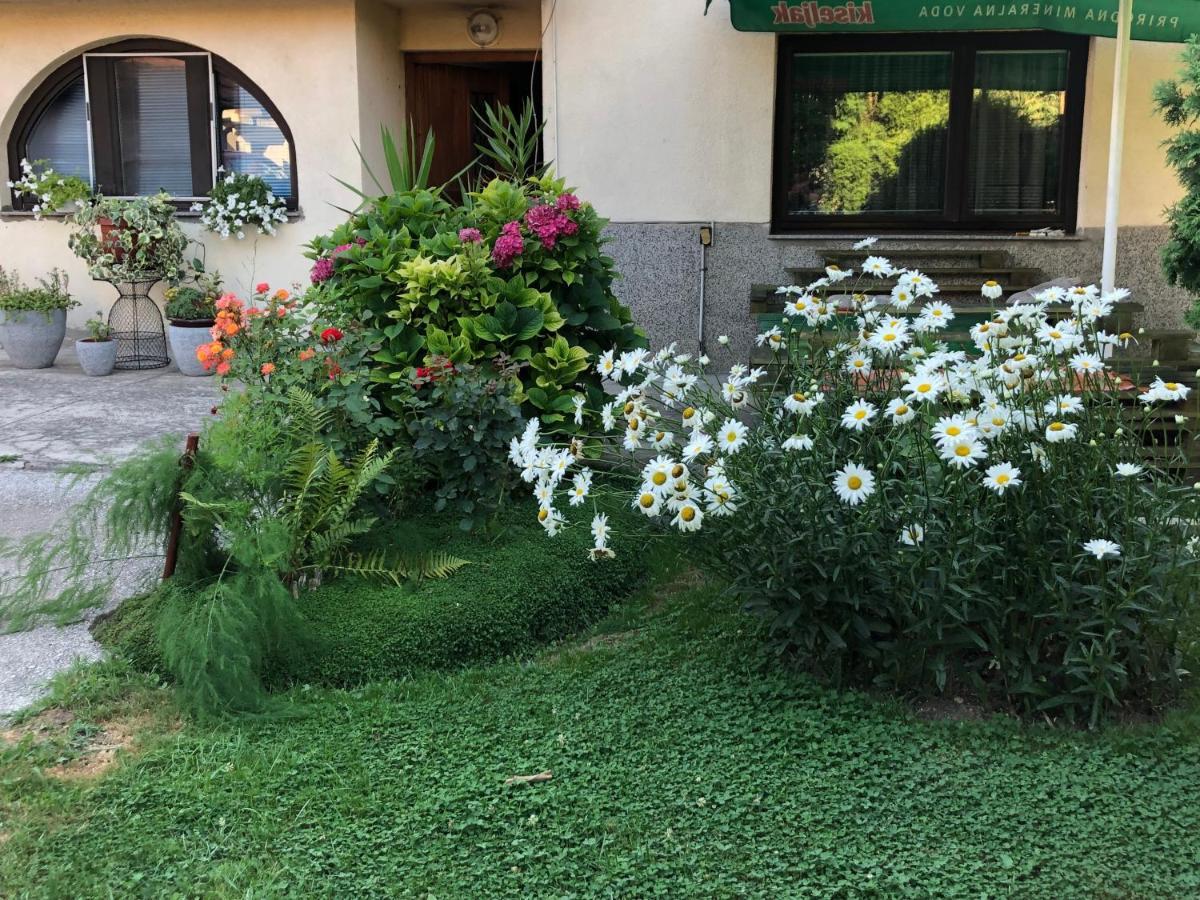 Apartman Balkan 维索科 外观 照片